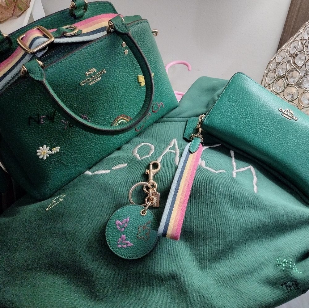 Coach mini Lillie carryall with Diary Embroidery Bag - Picture 10 of 14